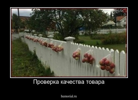 Проверка качества товара
