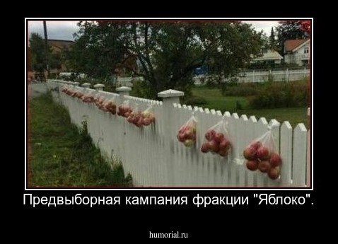 Предвыборная кампания фракции "Яблоко".