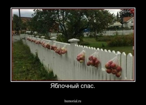 Яблочный спас.