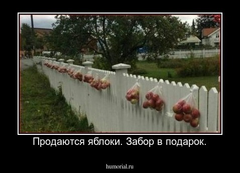 Продаются яблоки. Забор в подарок.