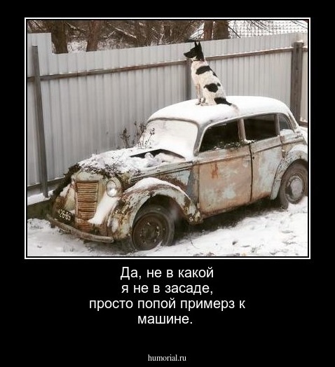 Да, не в какой я не в засаде, просто попой примерз к машине.   