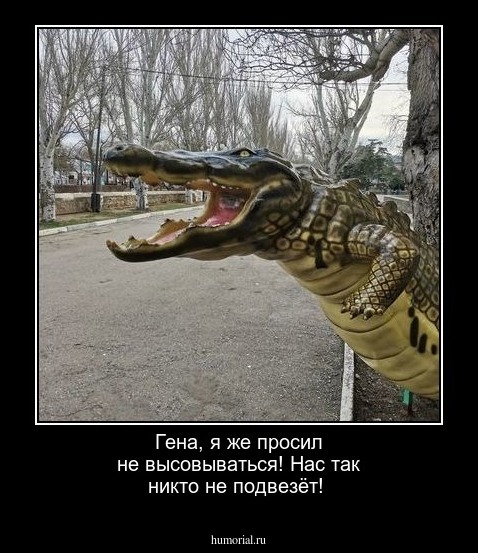 Гена, я же просил не высовываться! Нас так никто не подвезёт!