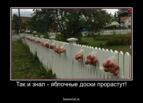 Так и знал - яблочные доски прорастут!
