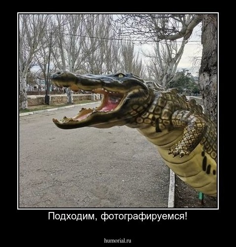 Подходим, фотографируемся!