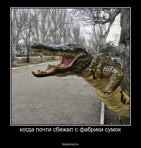 когда почти сбежал с фабрики сумок