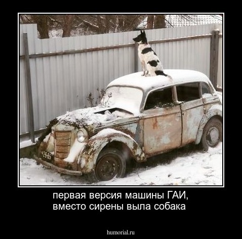 первая версия машины ГАИ, вместо сирены выла собака