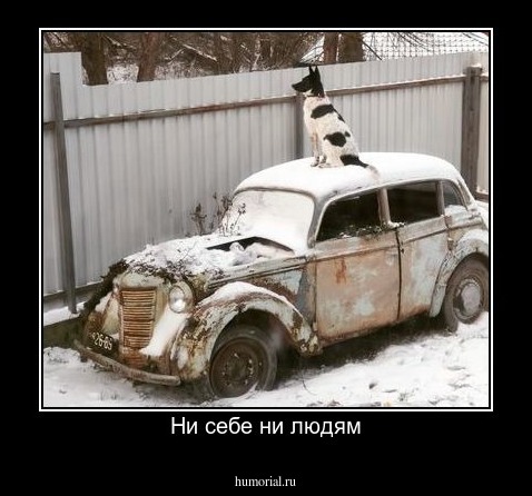 Ни себе ни людям