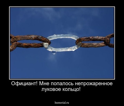 Официант! Мне попалось непрожаренное луковое кольцо!