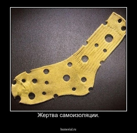Жертва самоизоляции.