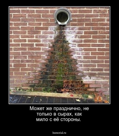 Может же празднично, не только в сырах, как мило с её стороны.