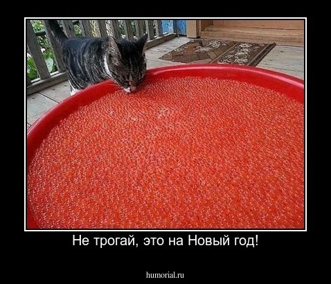 Не трогай, это на Новый год!