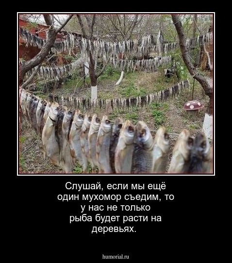 Слушай, если мы ещё один мухомор съедим,  то у нас не только рыба будет расти на деревьях.