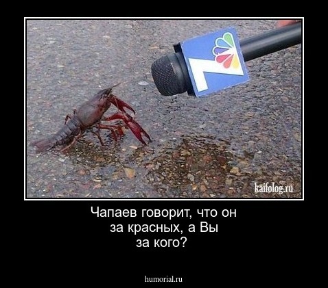 Чапаев говорит, что он за красных, а Вы за кого?