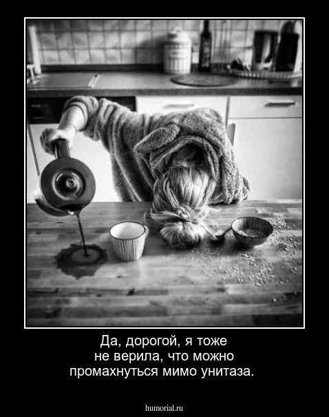 Да, дорогой, я тоже не верила, что можно промахнуться мимо унитаза.