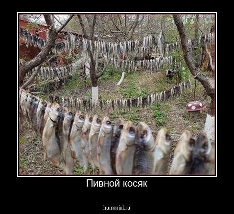Пивной косяк