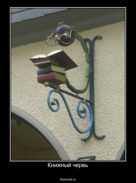 Книжный червь