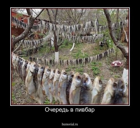 Очередь в пивбар