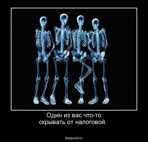 Один из вас что-то скрывать от налоговой.