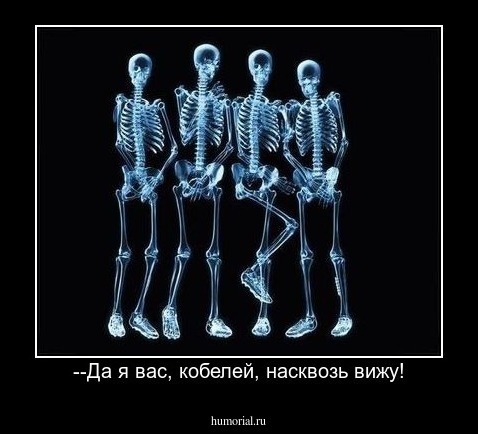 --Да я вас, кобелей, насквозь вижу!