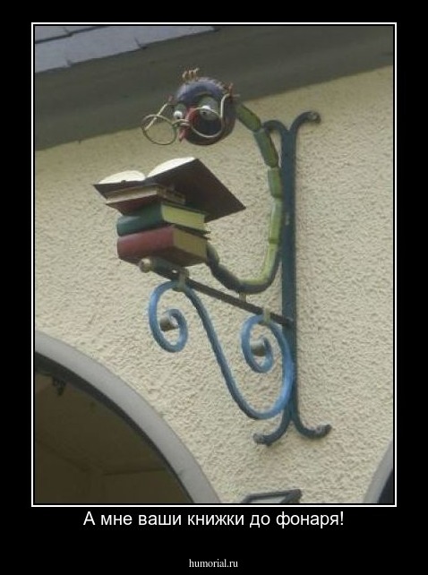 А мне ваши книжки до фонаря!