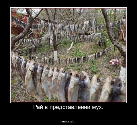 Рай в представлении мух.