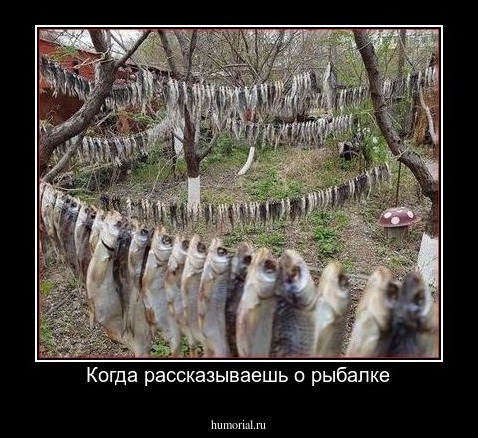 Когда рассказываешь о рыбалке