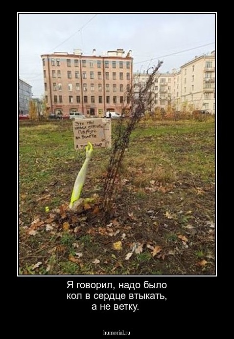 Я говорил, надо было кол в сердце втыкать, а не ветку.