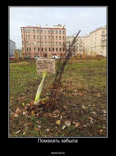 Помахать забыла