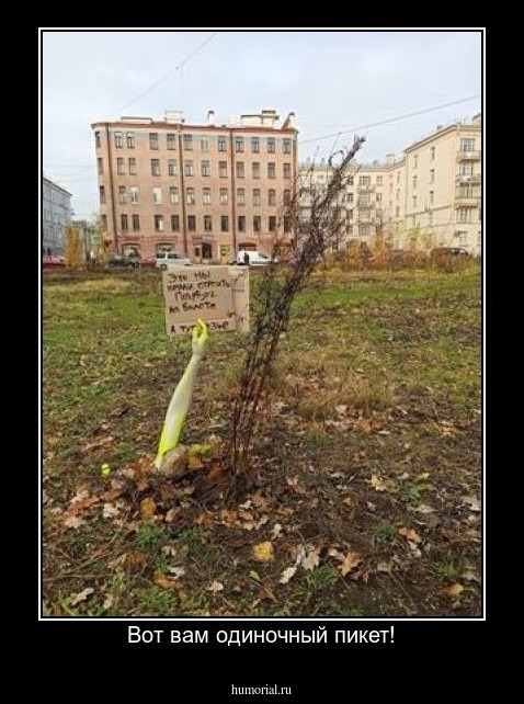 Вот вам одиночный пикет!