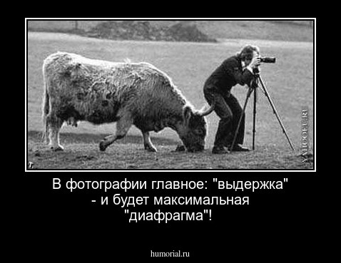  В фотографии главное: "выдержка" -  и будет максимальная "диафрагма"!