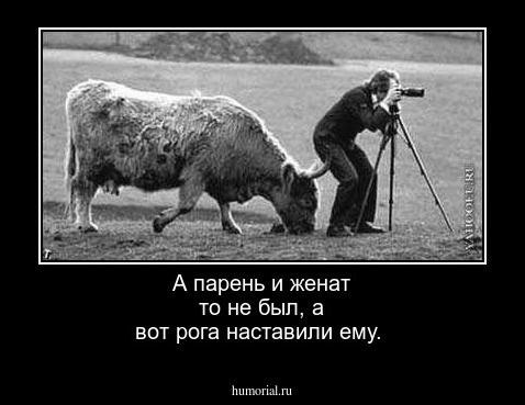А парень и женат то не был, а вот рога наставили ему.