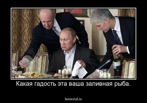 Какая гадость эта ваша заливная рыба.