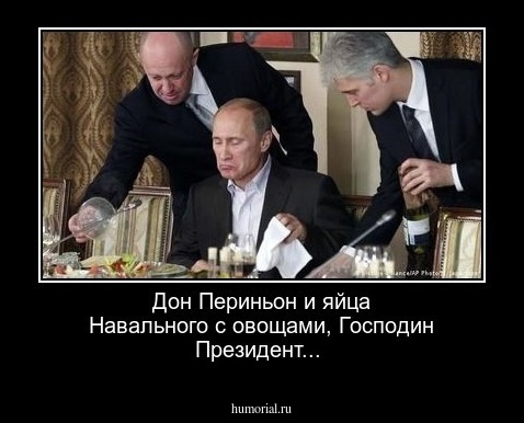 Дон Периньон и яйца Навального с овощами, Господин Президент...