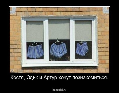 Костя, Эдик и Артур хочут познакомиться.