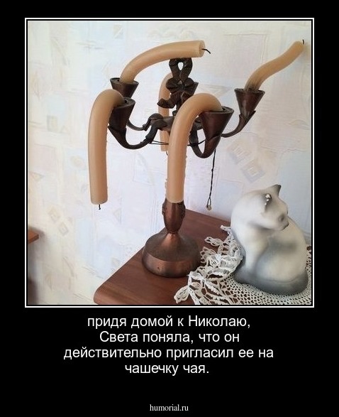 придя домой к Николаю, Света поняла, что он действительно пригласил ее на чашечку чая.