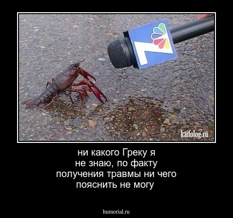 ни какого Греку я не знаю, по факту получения травмы ни чего пояснить не могу