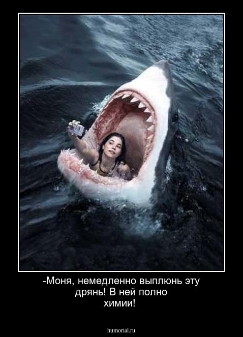-Моня, немедленно выплюнь эту дрянь! В  ней полно химии!