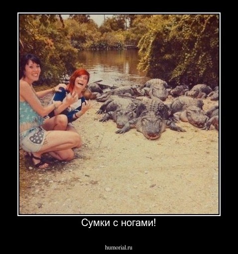 Сумки с ногами!