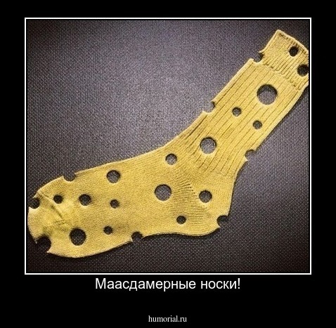 Маасдамерные носки!