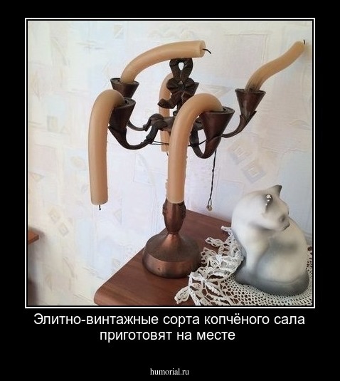 Элитно-винтажные сорта копчёного сала приготовят на месте