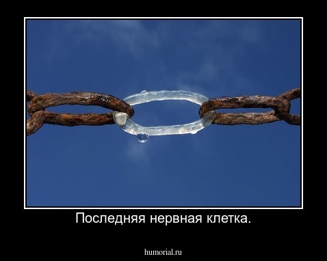 Последняя нервная клетка.
