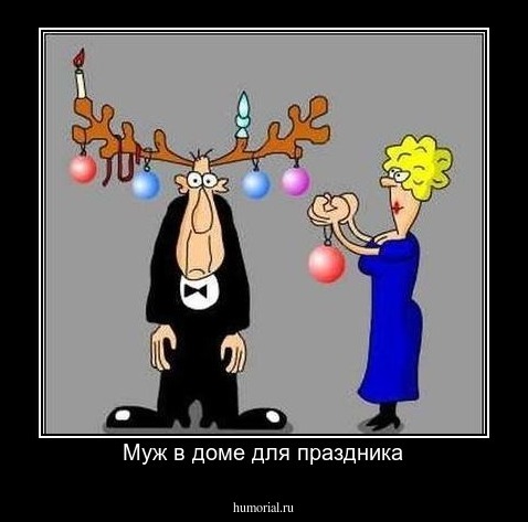 Муж в доме для праздника