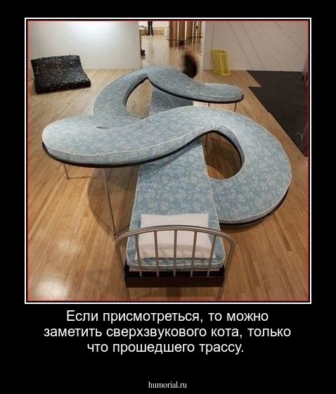 Если присмотреться, то можно заметить сверхзвукового кота, только что прошедшего трассу.