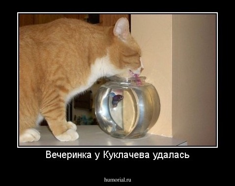 Вечеринка у Куклачева удалась