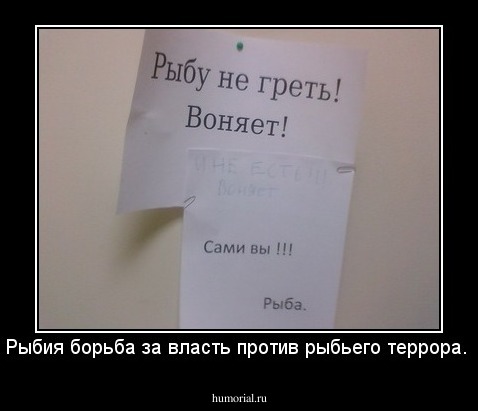 Рыбия борьба за власть против рыбьего террора. 
