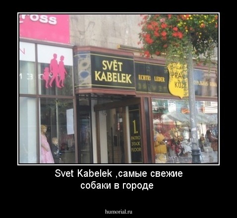 Svet Kabelek ,самые свежие собаки в городе