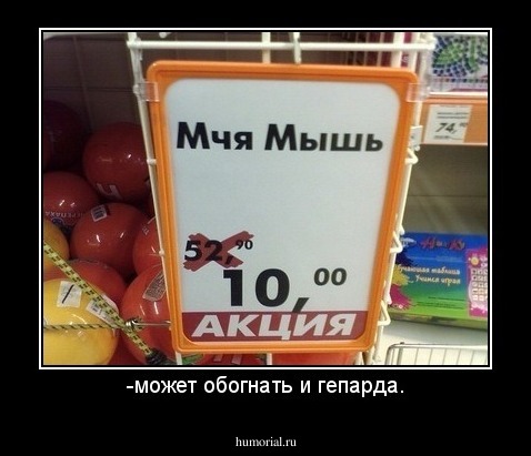 -может обогнать и гепарда.