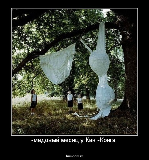 -медовый месяц у Кинг-Конга 