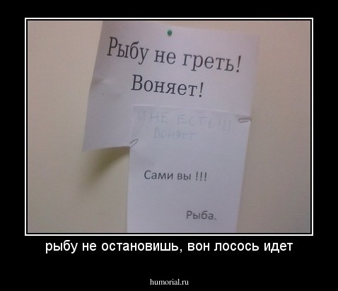 рыбу не остановишь, вон лосось идет
