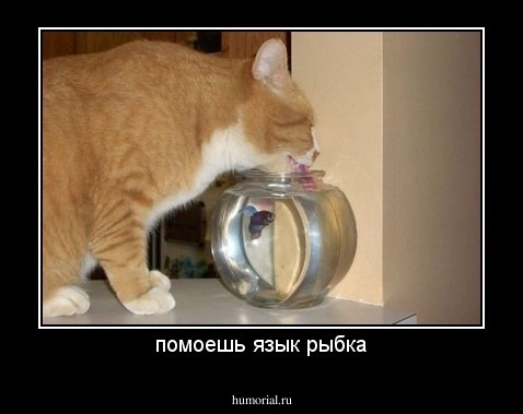 помоешь язык рыбка